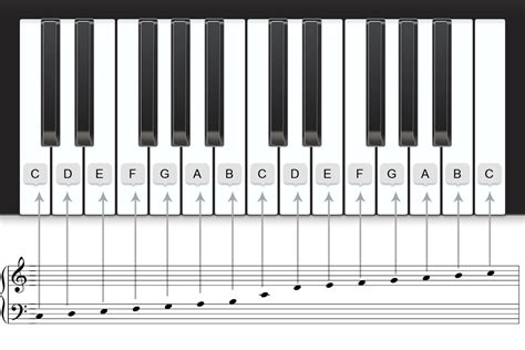 piano note labels|Printable Piano Keyboard with Note Names .